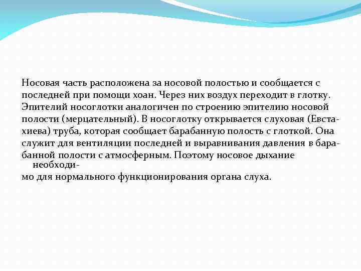 Носовая часть расположена за носовой полостью и сообщается с последней при помощи хоан. Через