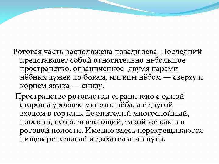 Ротовая часть расположена позади зева. Последний представляет собой относительно небольшое пространство, ограниченное двумя парами