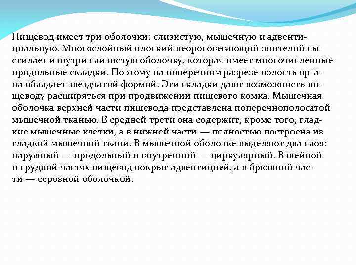 Пищевод имеет три оболочки: слизистую, мышечную и адвенти циальную. Многослойный плоский неороговевающий эпителий вы