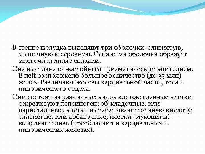 В стенке желудка выделяют три оболочки: слизистую, мышечную и серозную. Слизистая оболочка образует многочисленные