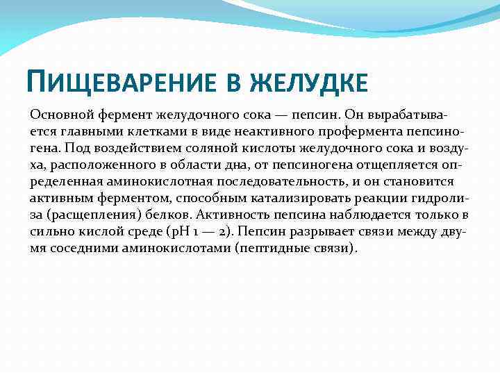 Активный фермент пепсина. Основной фермент желудка. Основной фермент желудочного сока. Основным ферментом желудочного сока является. Пепсин физиология.