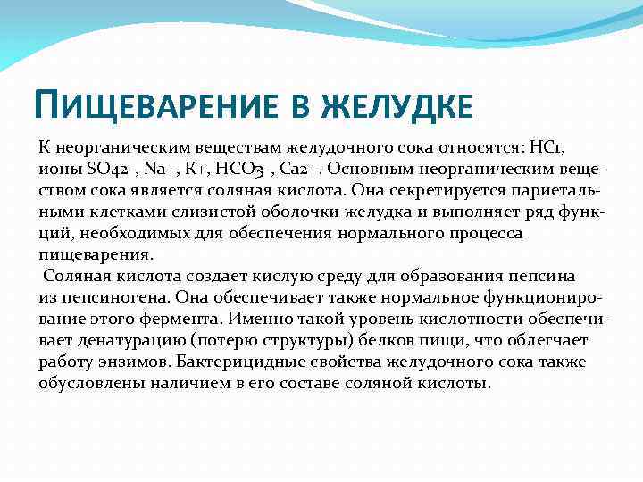 ПИЩЕВАРЕНИЕ В ЖЕЛУДКЕ К неорганическим веществам желудочного сока относятся: НС 1, ионы SO 42