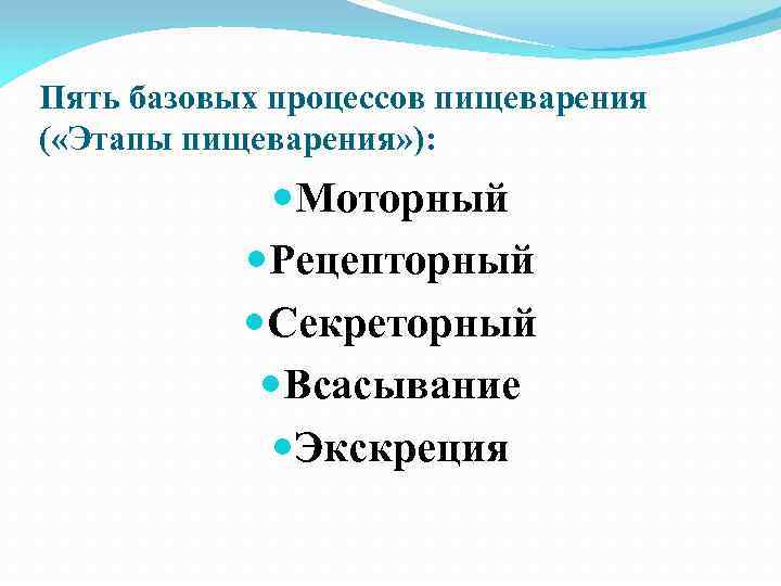 Пять базовых процессов пищеварения ( «Этапы пищеварения» ): Моторный Рецепторный Секреторный Всасывание Экскреция 
