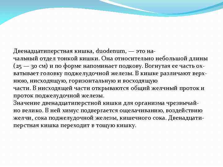 Двенадцатиперстная кишка, duodenum, — это на чальный отдел тонкой кишки. Она относительно небольшой длины
