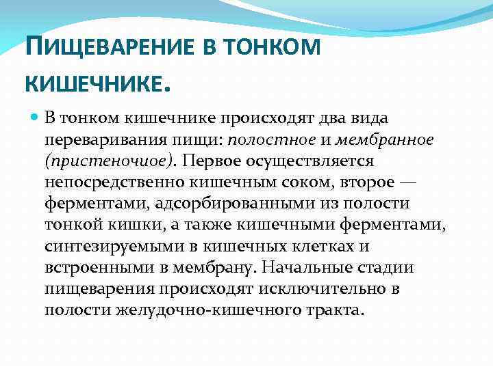 ПИЩЕВАРЕНИЕ В ТОНКОМ КИШЕЧНИКЕ. В тонком кишечнике происходят два вида переваривания пищи: полостное и