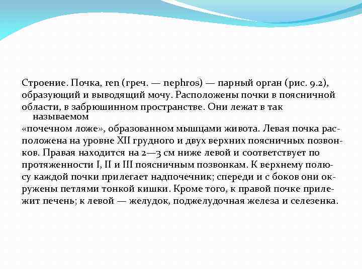 Строение. Почка, ren (греч. — nephros) — парный орган (рис. 9. 2), образующий и