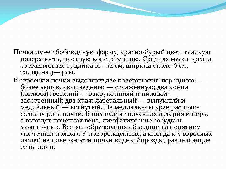 Почка имеет бобовидную форму, красно бурый цвет, гладкую поверхность, плотную консистенцию. Средняя масса органа