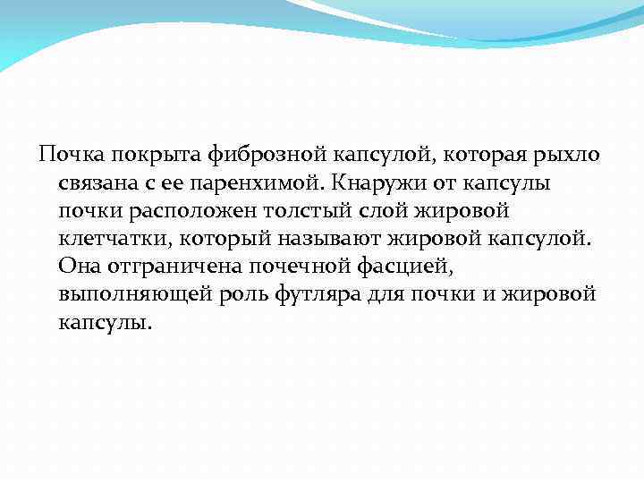 Почка покрыта фиброзной капсулой, которая рыхло связана с ее паренхимой. Кнаружи от капсулы почки