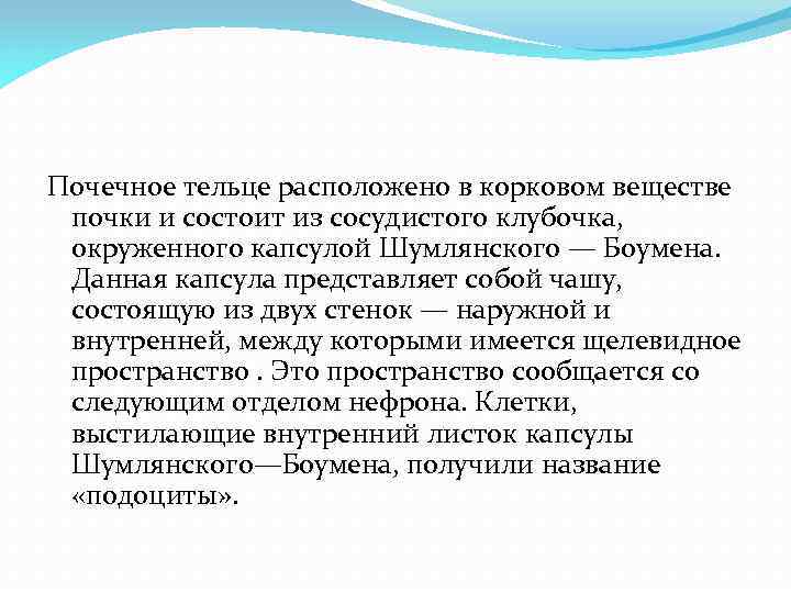 Почечное тельце расположено в корковом веществе почки и состоит из сосудистого клубочка, окруженного капсулой