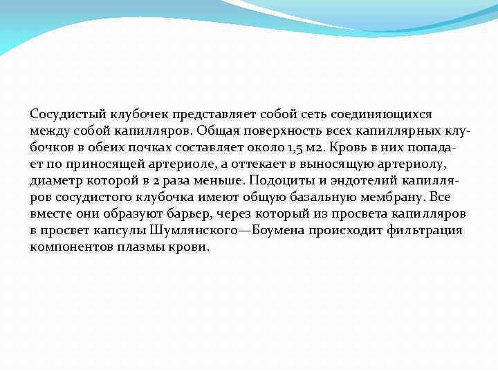 Сосудистый клубочек представляет собой сеть соединяющихся между собой капилляров. Общая поверхность всех капиллярных клу