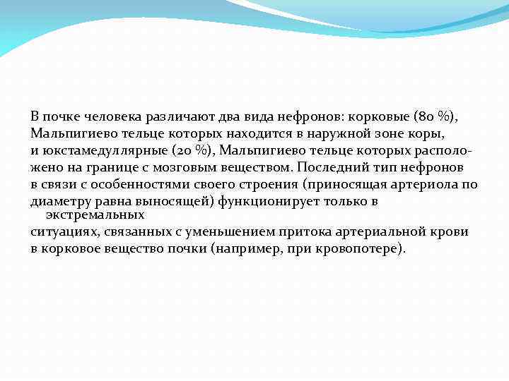 В почке человека различают два вида нефронов: корковые (80 %), Мальпигиево тельце которых находится