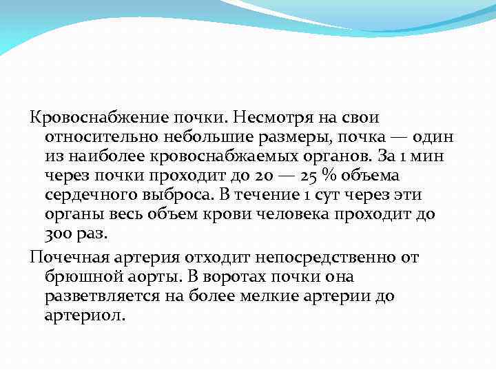 Кровоснабжение почки. Несмотря на свои относительно небольшие размеры, почка — один из наиболее кровоснабжаемых