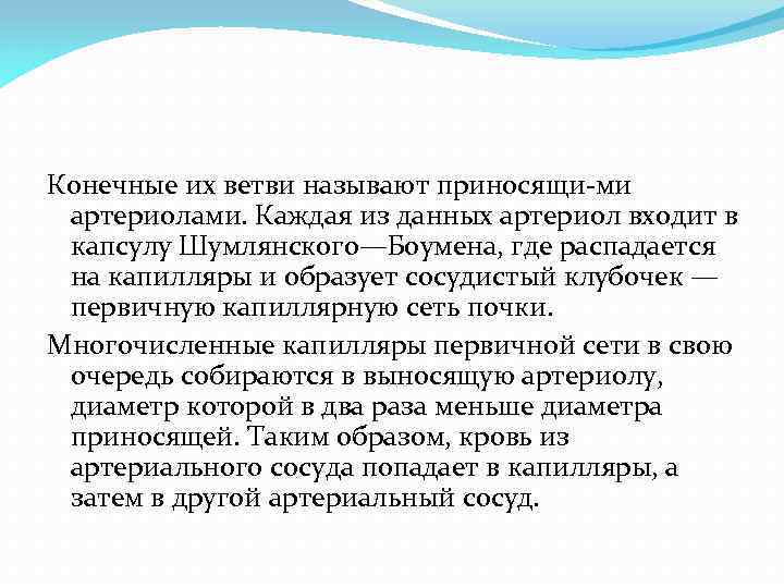 Конечные их ветви называют приносящи ми артериолами. Каждая из данных артериол входит в капсулу