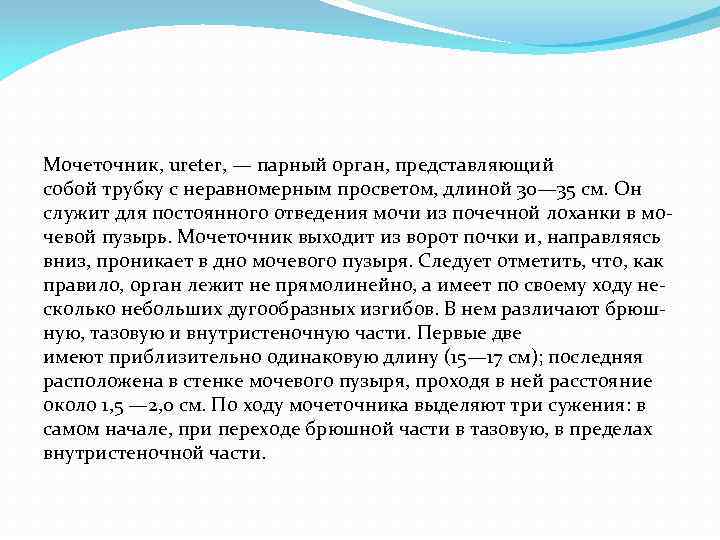Мочеточник, ureter, — парный орган, представляющий собой трубку с неравномерным просветом, длиной 30— 35