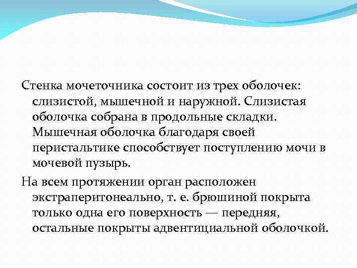 Стенка мочеточника состоит из трех оболочек: слизистой, мышечной и наружной. Слизистая оболочка собрана в