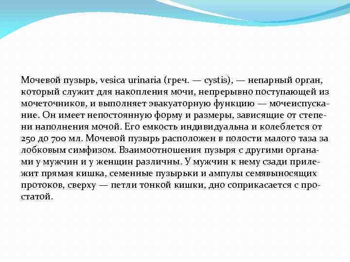 Мочевой пузырь, vesica urinaria (греч. — cystis), — непарный орган, который служит для накопления