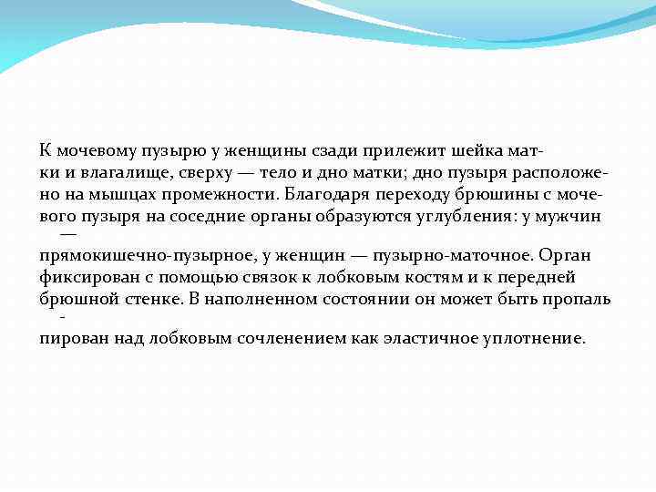 К мочевому пузырю у женщины сзади прилежит шейка мат ки и влагалище, сверху —