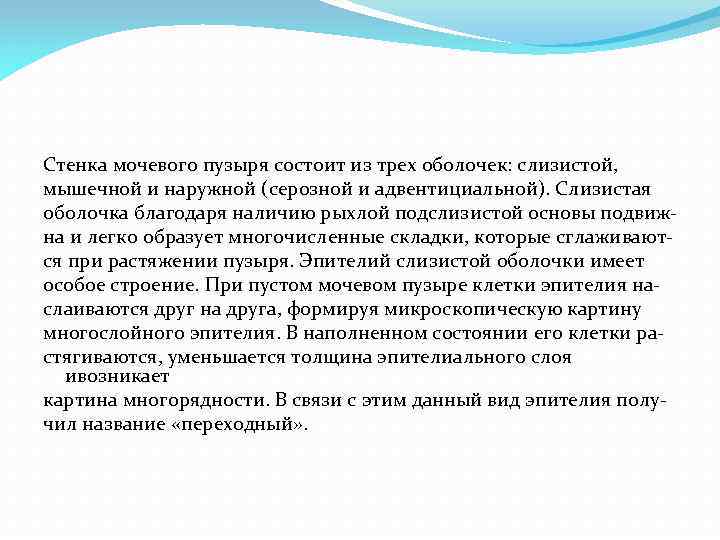 Стенка мочевого пузыря состоит из трех оболочек: слизистой, мышечной и наружной (серозной и адвентициальной).