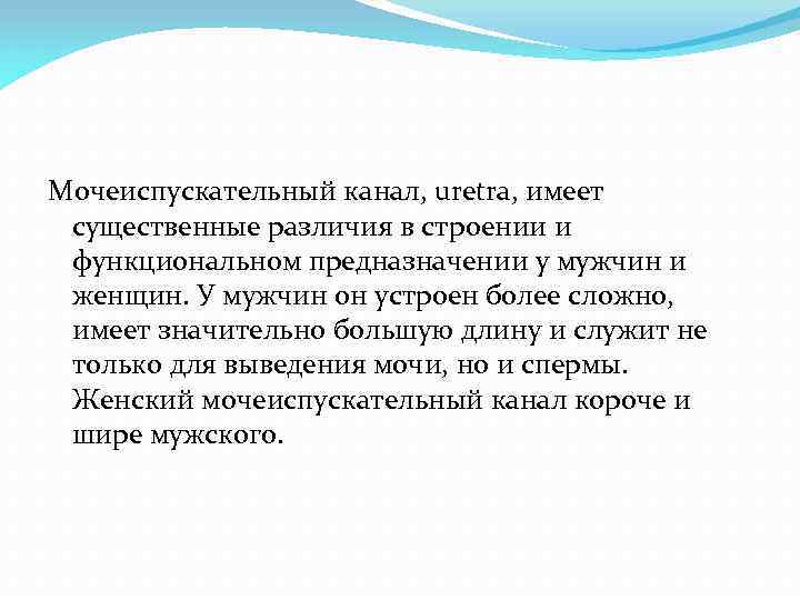 Мочеиспускательный канал, uretra, имеет существенные различия в строении и функциональном предназначении у мужчин и