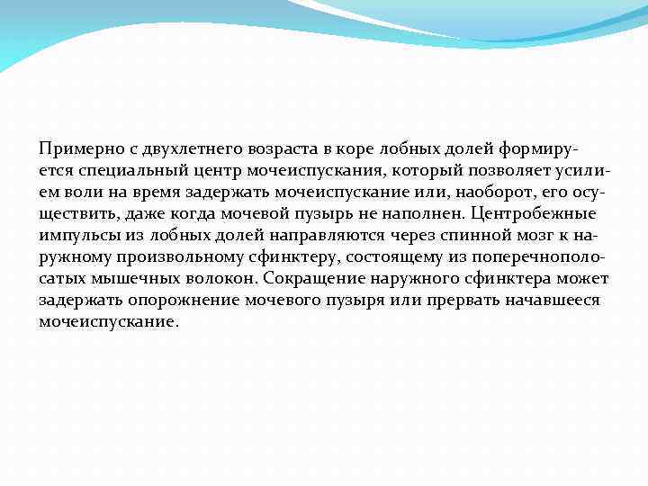 Примерно с двухлетнего возраста в коре лобных долей формиру ется специальный центр мочеиспускания, который
