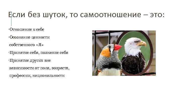 Если без шуток, то самоотношение – это: • Отношение к себе • Осознание ценности