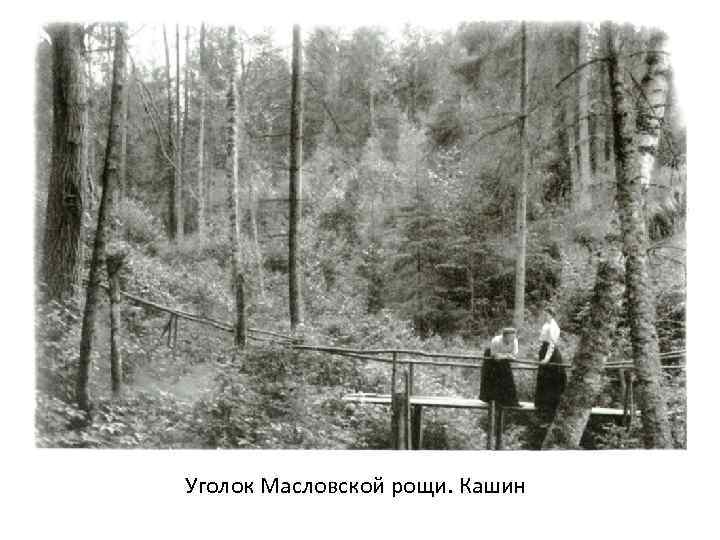 Уголок Масловской рощи. Кашин 