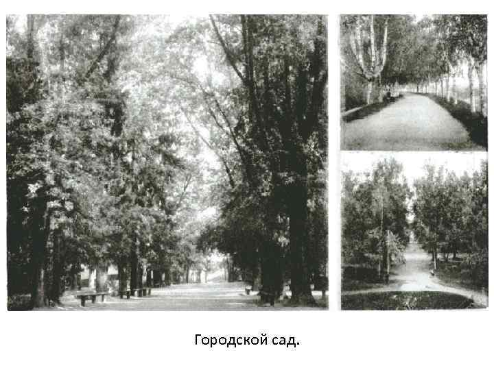 Городской сад. 