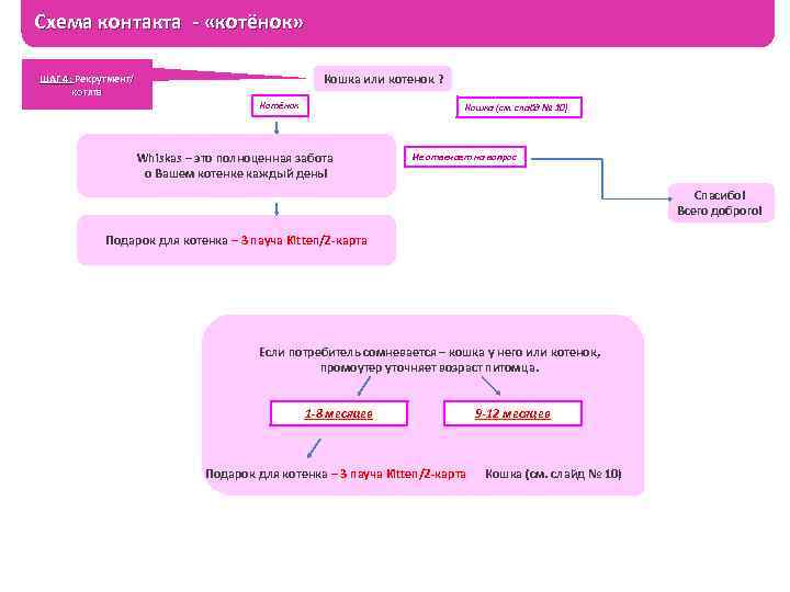 Схема контакта - «котёнок» Кошка или котенок ? ШАГ 4: Рекрутмент/ 4: котята Котёнок