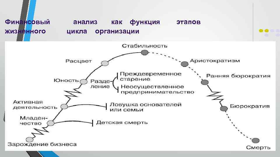 Финансовый жизненного анализ как функция цикла организации этапов 