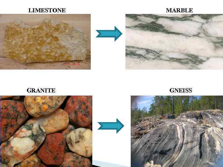 LIMESTONE GRANITE MARBLE GNEISS 