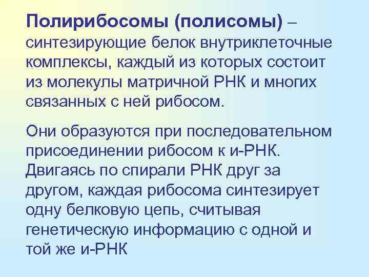 Полирибосомы (полисомы) – синтезирующие белок внутриклеточные комплексы, каждый из которых состоит из молекулы матричной