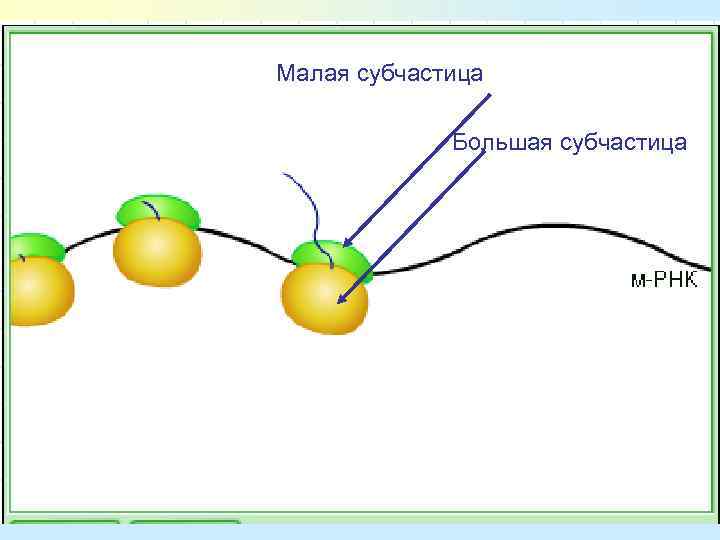 Малая субчастица Большая субчастица 