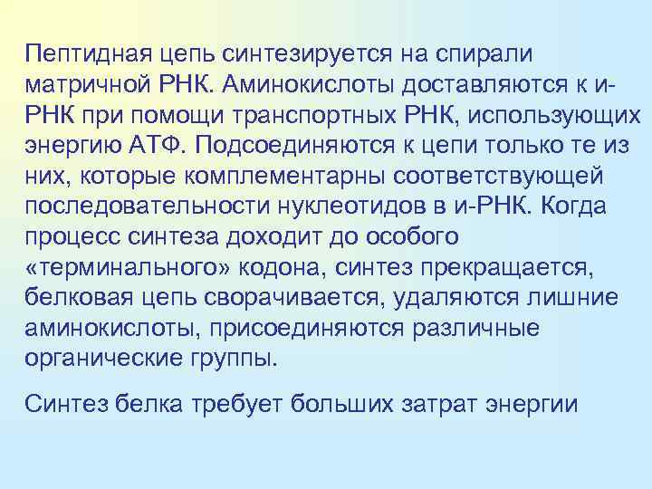Пептидная цепь синтезируется на спирали матричной РНК. Аминокислоты доставляются к и. РНК при помощи