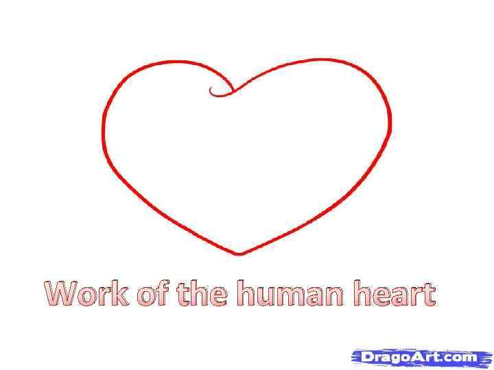 Work of the human heart 