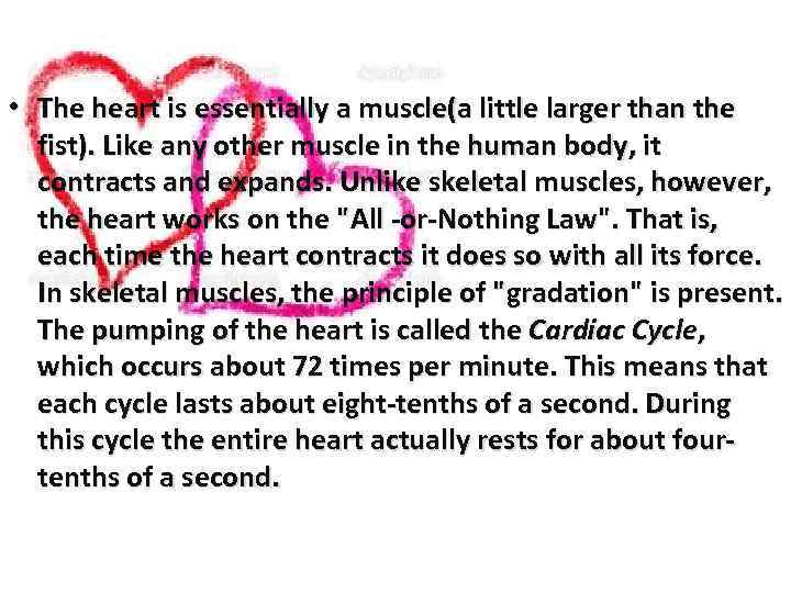  • The heart is essentially a muscle(a little larger than the fist). Like