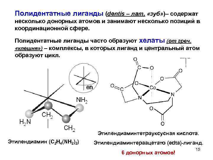 Полидентатные лиганды (dentis – лат. «зуб» )– содержат несколько донорных атомов и занимают несколько