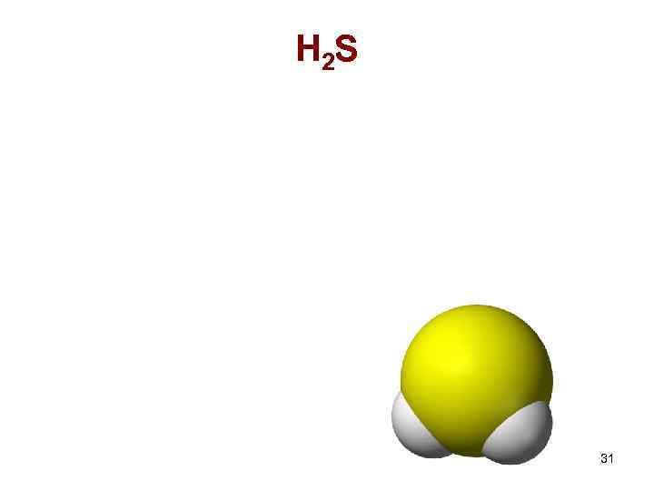 H 2 S 31 