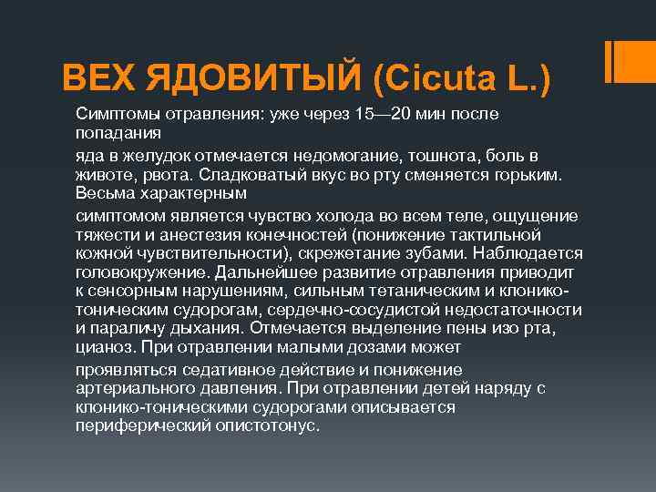 ВЕХ ЯДОВИТЫЙ (Сicuta L. ) Симптомы отравления: уже через 15— 20 мин после попадания