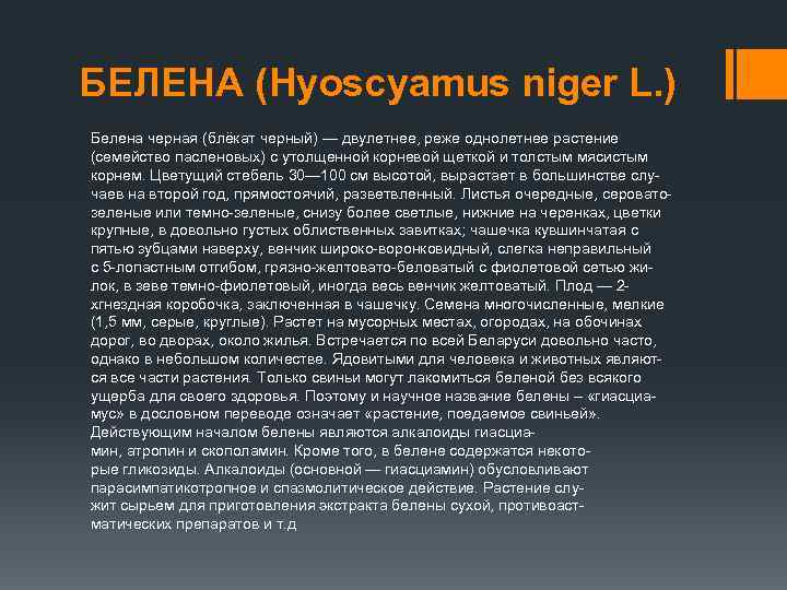 БЕЛЕНА (Hyoscyamus niger L. ) Белена черная (блёкат черный) — двулетнее, реже однолетнее растение