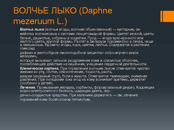 ВОЛЧЬЕ ЛЫКО (Daphne mezeruum L. ) Волчье лыко (волчьи ягоды, волчник обыкновенный) — кустарник,