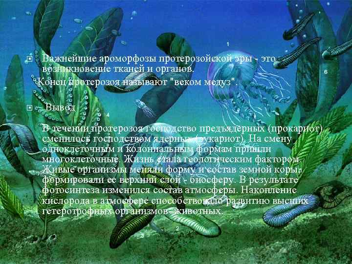 Важнейшие ароморфозы протерозойской эры - это возникновение тканей и органов. Конец протерозоя называют 