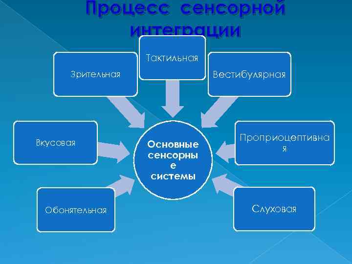 Процесс сенсорной интеграции Тактильная Вестибулярная Зрительная Вкусовая Обонятельная Основные сенсорны е системы Проприоцептивна я