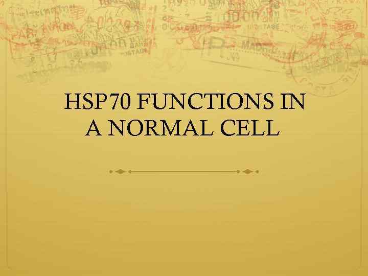 HSP 70 FUNCTIONS IN A NORMAL CELL 