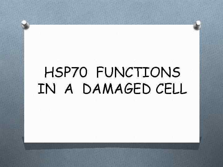 HSP 70 FUNCTIONS IN A DAMAGED CELL 