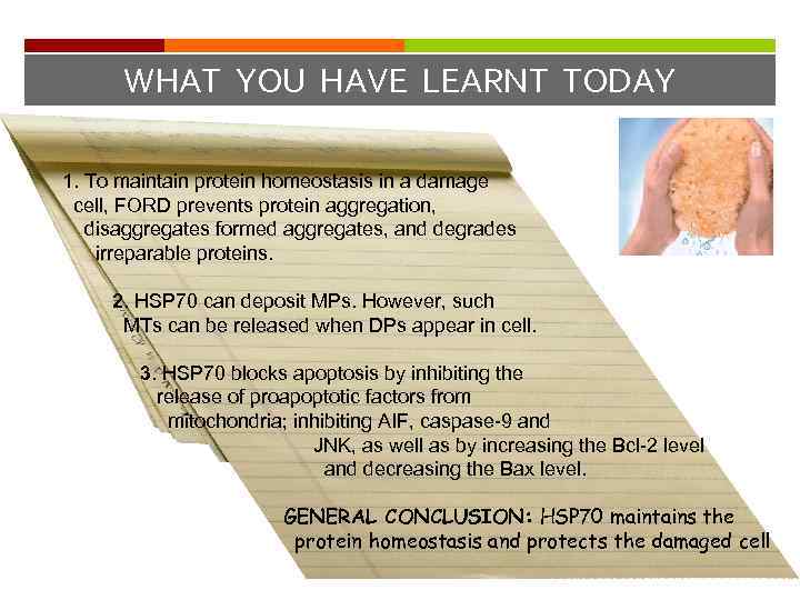 WHAT YOU HAVE LEARNT TODAY 1. To maintain protein homeostasis in a damage cell,