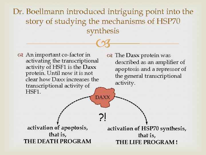 Dr. Boellmann introduced intriguing point into the story of studying the mechanisms of HSP