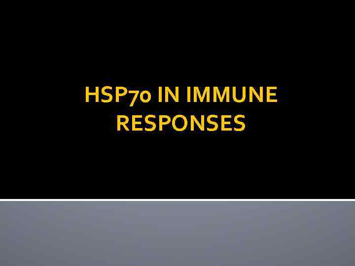 HSP 70 IN IMMUNE RESPONSES 