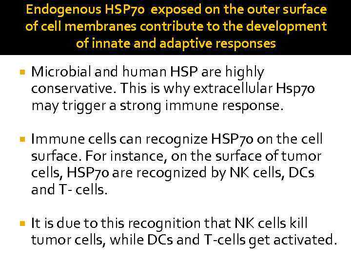 Endogenous HSP 70 exposed on the outer surface of cell membranes contribute to the