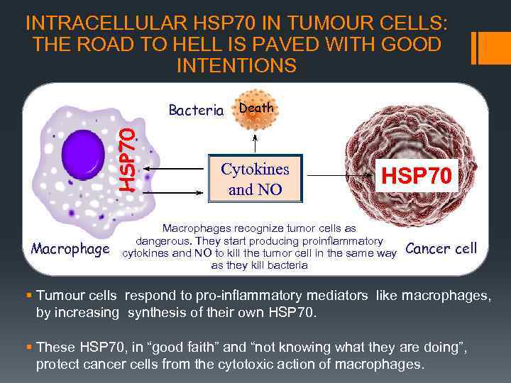 INTRACELLULAR HSP 70 IN TUMOUR CELLS: THE ROAD TO HELL IS PAVED WITH GOOD