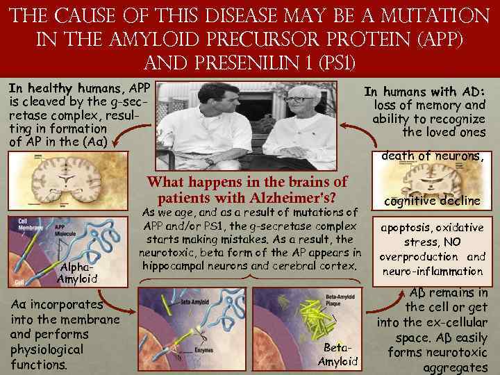 the cause of this disease may be a mutation in the amyloid precursor protein